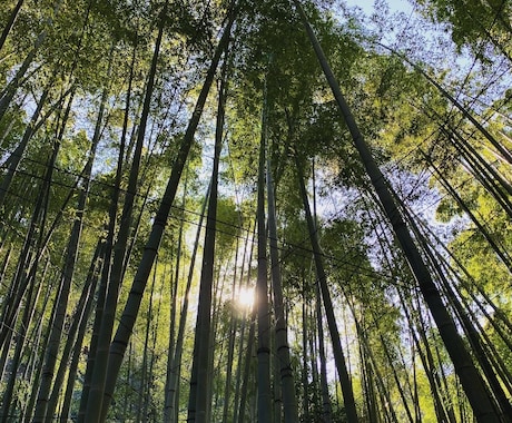 スマホで写真を撮ってます 良い風景様々な瞬間が撮れたらと思ってカメラ構えてます！ イメージ1