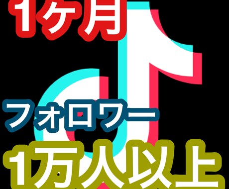 TikTokで出会う方法教えます TikTokの美女と出会いたい方は必見！ イメージ1