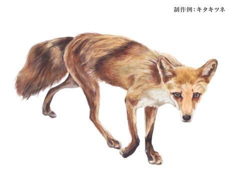 写実的なデジタル水彩風イラストカットお描きします 書籍・図鑑等印刷物に♪植物、生き物のイラストお任せください イメージ2