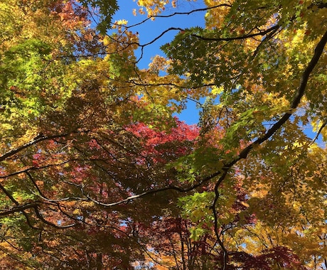 今誰かに話したいをわたしがききます なかなか身近な人には話せない…第三者の私に話してみませんか？ イメージ1