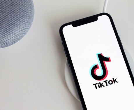 TikTokの運用型広告設定サポートいたします Tiktok広告とはといった概要のご説明から設定までフォロー イメージ2
