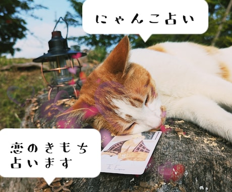 恋に悩んだら…にゃんこが恋のきもちを占います 「あの人はどう思ってるのかにゃ？」猫が伝えるきもち占い イメージ1