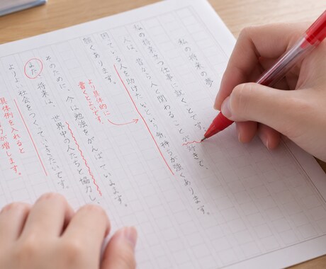 レポートや作文などの文章を添削します イメージ1