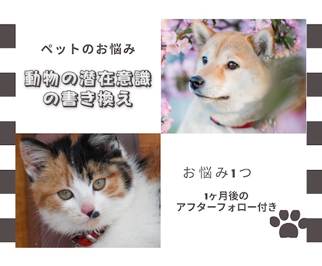 アニマルコミュニケーションします アフターフォロー付き　/　その行動、ちゃんと理由があります イメージ1