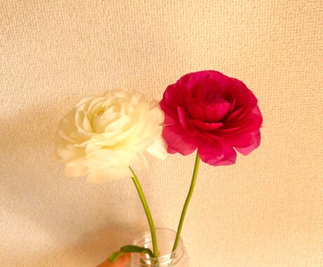 相談したい・愚痴聞いて欲しい方の心に寄り添います ちょっと相談・愚痴聞いて欲しい人集合！ イメージ1