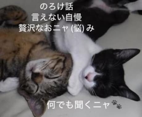 人に言えニャい話　とことんお付き合いします のろけ 密かな楽しみ 自慢  推し活　思いっきり話せます！ イメージ1