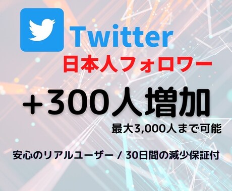Twitter☆日本人フォロワー300人増加します 安心の保証付☆＋300人 2,500円☆でご提供中！！ イメージ1