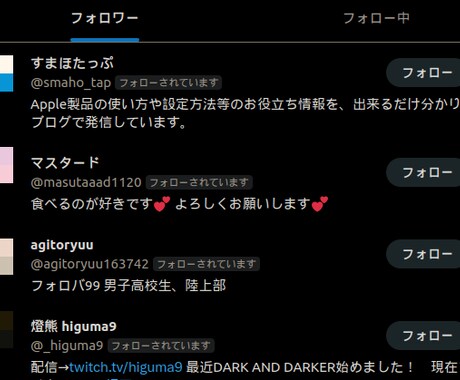 Twitterフォロワー自動増加ツール提供します 毎日ボタンを一回押すだけ！買い切り版、日本人フォロワー イメージ2