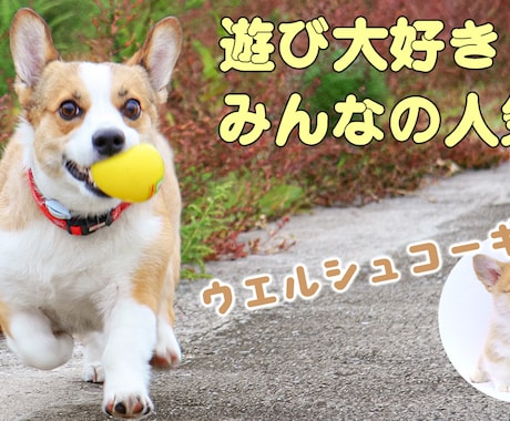 視聴率が上がるYouTubeのサムネイル作ります クリックしたくなるサムネイルを作成します！ イメージ2