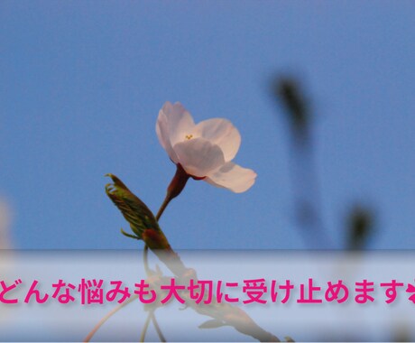 心に寄り添い丁寧にお話やお悩みをお聴きします 否定せず優しく寄り添います。どんなことでもお気軽にどうぞ イメージ1