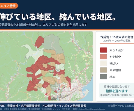 GISで商圏分析とエリア比較レポートを作成します 多様な情報をGISで分析！出店・移転・土地活用の判断材料に イメージ2