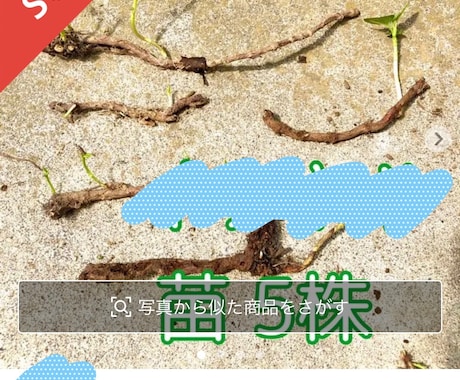 メルカリで野草販売のお手伝いします 災害時の非常食にもなる野草、フリマアプリで売れます。 イメージ1