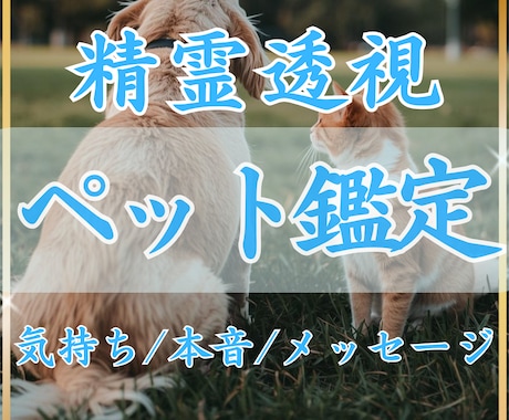 精霊透視✴︎ペットの気持ちを翻訳します 今、あの子が一番伝えたい想いを読み解きます イメージ1