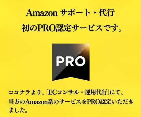 売上UPに効果的な方法でアマゾンに出品、登録します 現役Amazonコンサル/上場企業の運用経験あり イメージ2