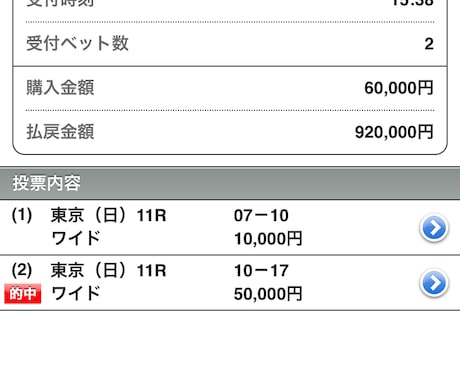 G1シーズンも平場レース限定で予想提供致します 得意のダート戦を開催時期による特徴を利用し利益を出します。 イメージ1