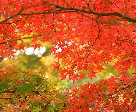 うつ病で苦しんでる、人間関係お悩みに寄り添います 愚痴、相談することで軽くなって欲しい。そのお手伝いしたいです イメージ1