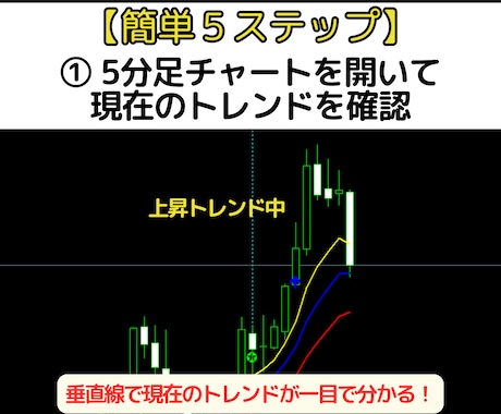海外で300万回再生の5分足トレード手法教えます FX・MT4用オリジナルインジケーター＋実践マニュアル付き！ イメージ2