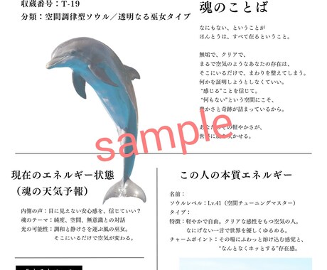 The Soul Book──魂の記憶をひらきます 占いでは届かない、魂の記憶を言葉にします イメージ2