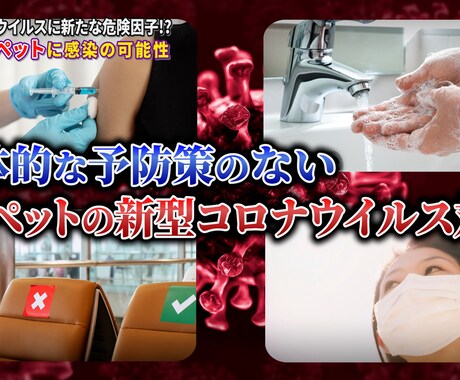 YouTube向け動画編集を高品質でお届けします ご要望をお伺いして、1本1本丁寧に作成します イメージ2