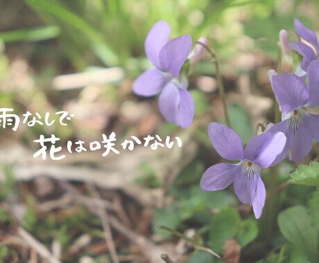 お好きな写真にお好きな言葉、文字入れします 様々な字体で書くことできます！要望ありましたら応えます！ イメージ1
