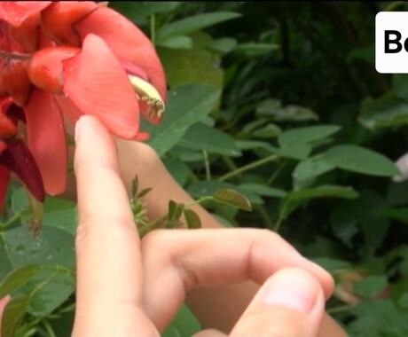 低画質の動画をAIで高画質に変換します 昔、撮影した動画など、低画質の動画をAIの力で高画質化します イメージ2