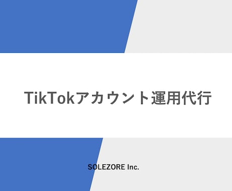 現役TikTokerがTikTok運用いたします 現役TikTokerによるTikTok戦略運用 イメージ1