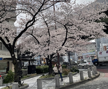 2ヶ月で中学英語マスターさせます お子さんに教えるor英検 TOEIC基礎固めに。 イメージ1