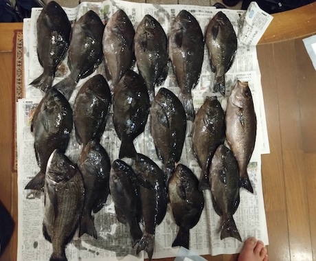 磯・筏釣りの悩みを聞きながら釣りを一緒に組立てます 釣れない原因を整理して釣り方を一緒に考えます イメージ2