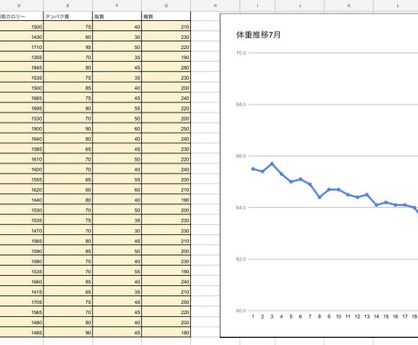 オンラインで1ヶ月間あなたの生活習慣を管理します 遠方の人も多忙の人もオンラインでパーソナルトレーニングを！ イメージ2