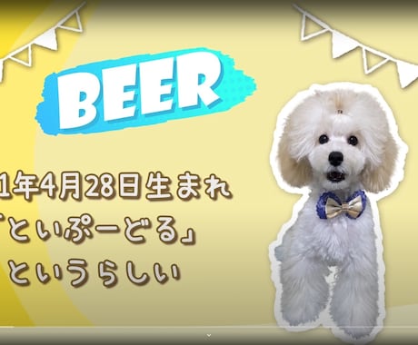 ペット、お子様、新郎新婦様紹介ムービー制作します ポップで楽しい結婚式プロフィールムービー イメージ1