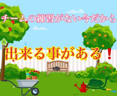 野球自主練習(守備編)のアドバイス致します お家での自主練習が1番の練習になる！ イメージ1