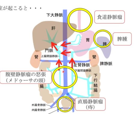 看護師国家試験の解き方理解させます 現役男性看護師が自ら高得点を叩き出したメソッドを教えます。 イメージ2
