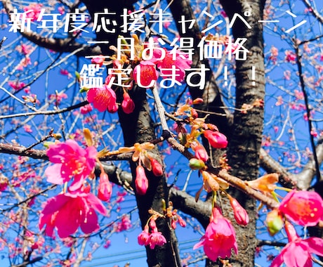 手を見て星を見て占います 3月20日まで!手相と西洋占星術で運命を拝見します。 イメージ1