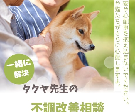 心配、不安、その悩みの解決の糸口を見つけます 電話でのその悩みぶつけてください。一緒に考えましょう！ イメージ1