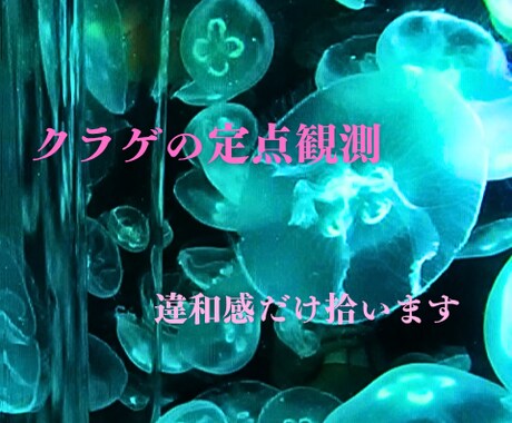 クラゲの定点観測現場の違和感だけ拾います 現場の声が聞けない、何かの違和感を持って仕事している方へ イメージ1