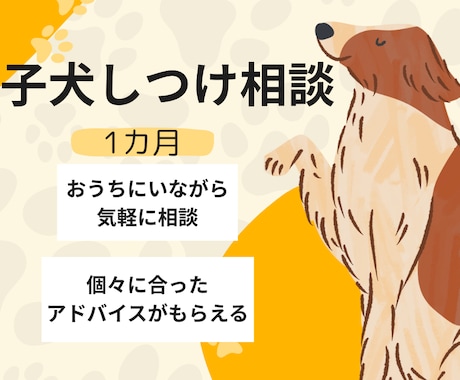 愛犬との暮らしを1カ月サポートします 日常の小さな疑問やお悩みもその都度ご相談OK｜1カ月継続 イメージ1