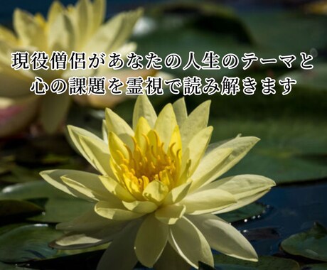 あなたの人生のテーマと心の課題を読み解きます 魂の課題と心のテーマを霊視で読み解きます イメージ1