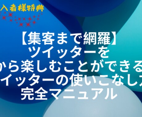 ツイッターとココナラの集客についてコンサルします ツイッターのフォロワーとココナラの売上を伸ばしたい方へ イメージ2