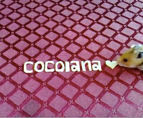 【プレゼントに♡】あなたのメッセージをハムスターが書いた動画をつくります! イメージ1