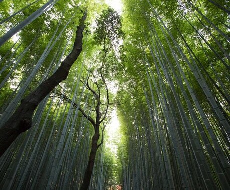 あなたを守る神様を鑑定致します 。「本来のあなた」の姿をご縁ある神様の姿から見てみませんか？ イメージ1