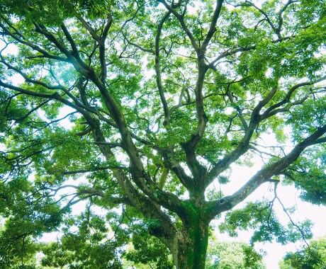 嫉妬心や劣等感で苦しむ心のマインドを変えます 劣等感だらけだった私が、気持ちを分解してマインドまで変えます イメージ2