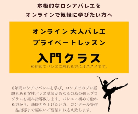 大人バレエのプライベートレッスンをします バレエに初めて触れる方に寄り添ったレッスンです。 イメージ1