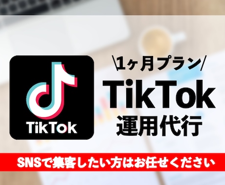 3名様限定｜お客様の目的達成まで低価格で運用します TikTok運用のプロが全てのノウハウを使って伸ばします イメージ1
