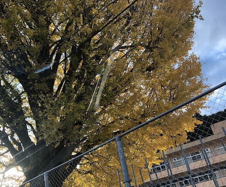 アドラー心理学を用いカウンセリングを致します 人間関係、人の目が気になってしょうがない人 イメージ1