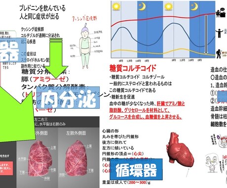 看護師国家試験対策ます １ヶ月前からでも勉強し合格した教材（必見） イメージ1
