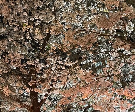 モテるInstagramのプロフィールを作ります 垢抜けないInstagramのプロフィールを卒業しよう！ イメージ1