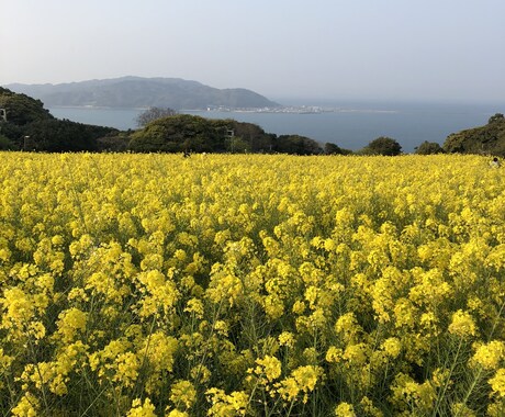 毒親育ちで辛かった過去を乗り越えるお手伝いします 辛かったこと、今更と思わず吐き出しましょう。 イメージ1