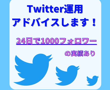 Twitter運用のアドバイスします 初心者でも安心！一週間マンツーマンで応援します イメージ1
