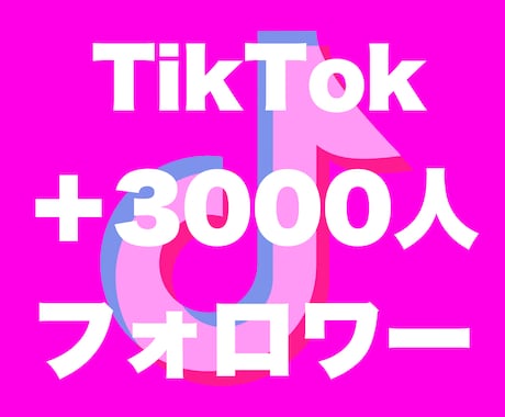 Tiktokフォロワー3000人増やします 評価貯まるまで最安★フォロワー確実に増加させます！ イメージ2
