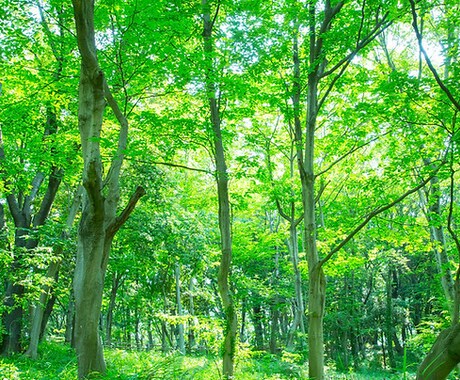 あなたの心を紐解きます 分析結果を活用して自分の人生を立体的にとらえましょう。 イメージ1